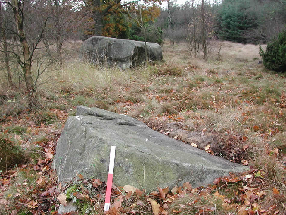 Albasten i Paradisbakkerne